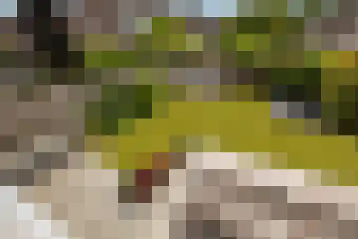 Nijlring 81 Drunen thumbnail 45