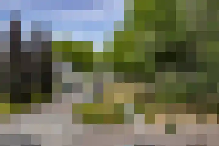 Nijlring 81 Drunen thumbnail 46