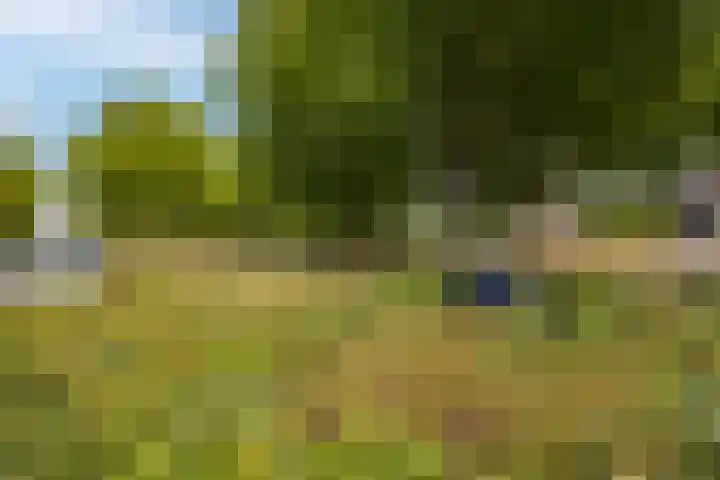 Nijlring 81 Drunen thumbnail 47
