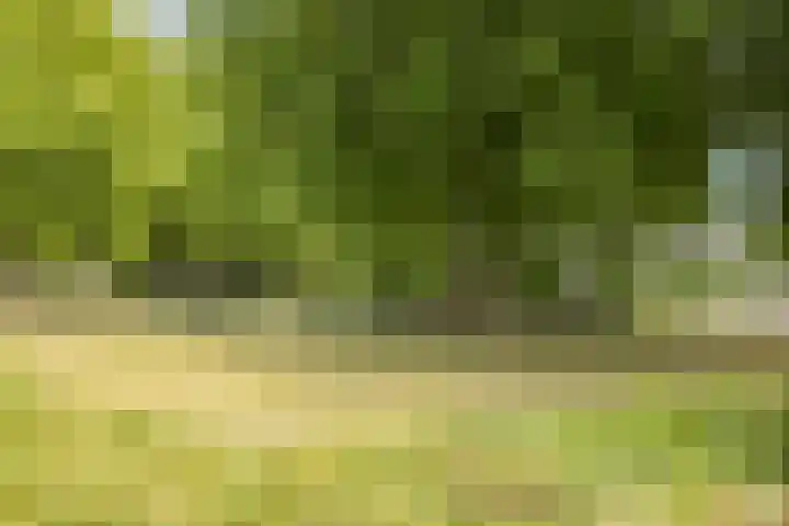 Nijlring 81 Drunen thumbnail 48