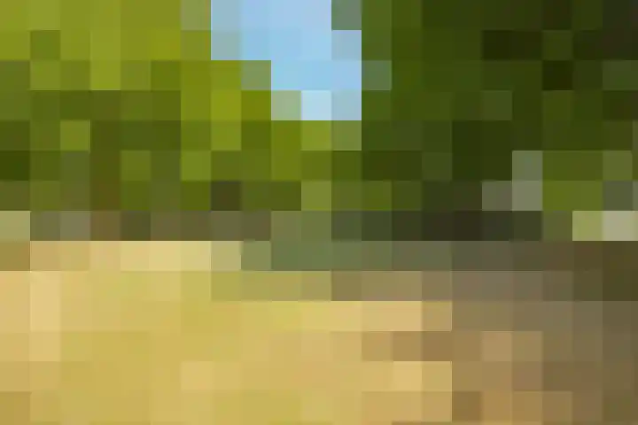 Nijlring 81 Drunen thumbnail 49