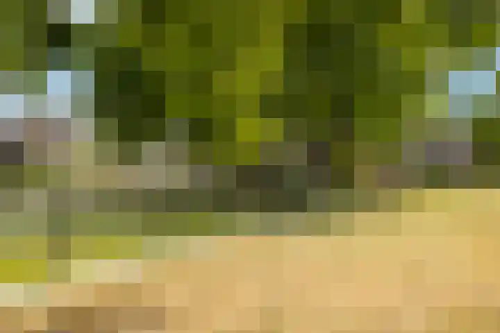 Nijlring 81 Drunen thumbnail 50