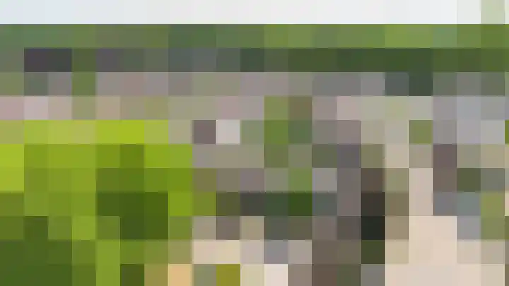 Nijlring 81 Drunen thumbnail 52