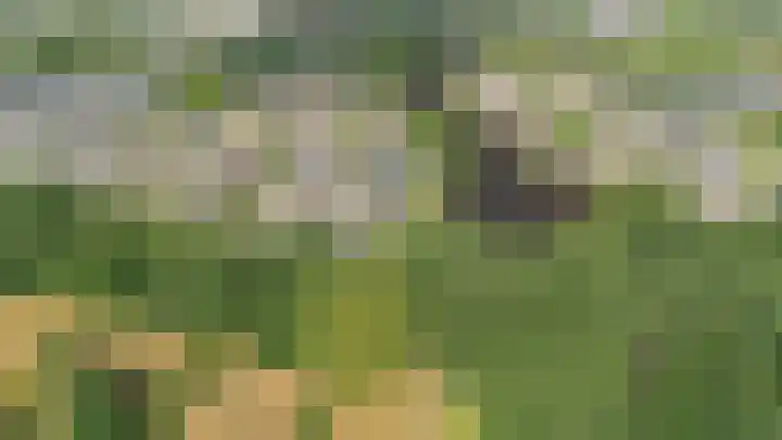 Nijlring 81 Drunen thumbnail 56