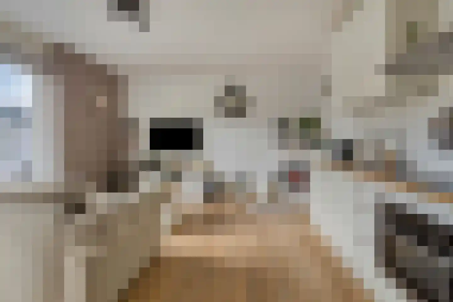Nijlstraat 116 Purmerend thumbnail 7