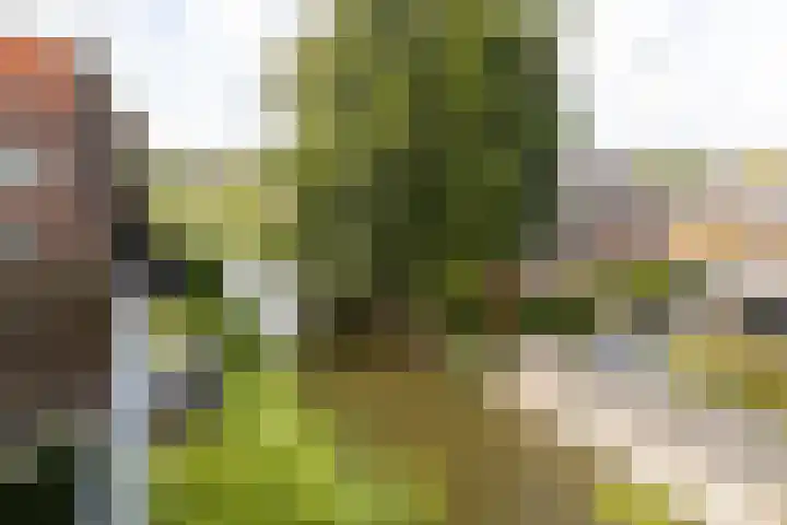 Nijlstraat 136 Purmerend thumbnail 22