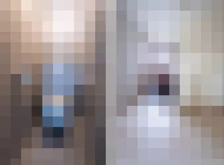 Nijlstraat 24 Spijkenisse thumbnail 10