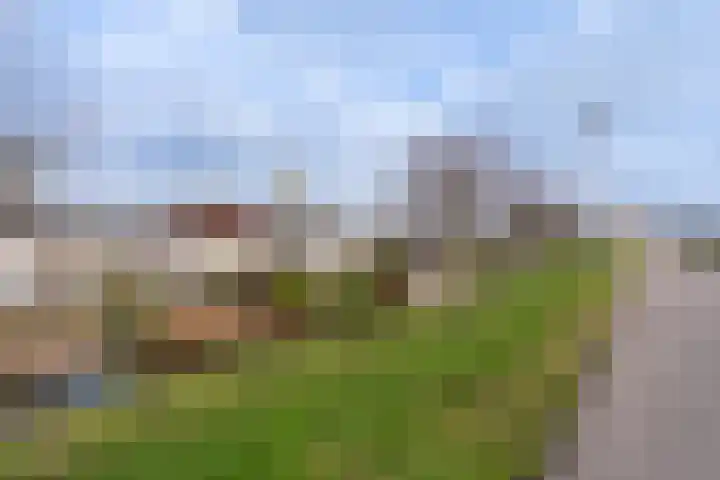 Nijlstraat 24 Spijkenisse thumbnail 21