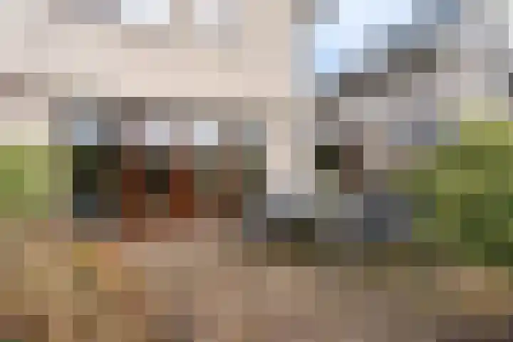 Nijlstraat 24 Spijkenisse thumbnail 23
