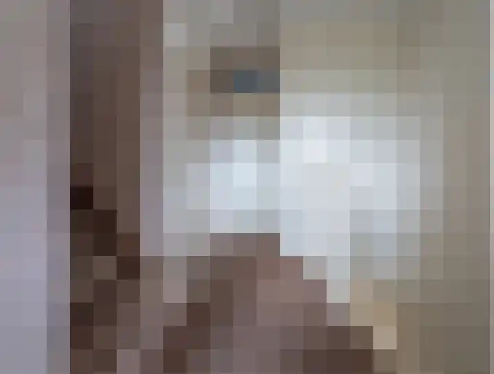Nijlstraat 24 Spijkenisse thumbnail 28