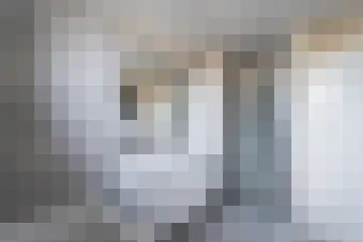 Nijlstraat 24 Spijkenisse thumbnail 32