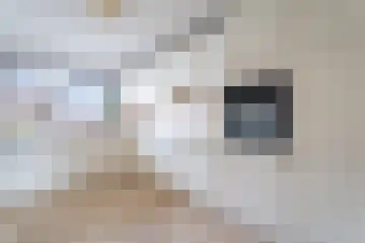 Nijlstraat 24 Spijkenisse thumbnail 4