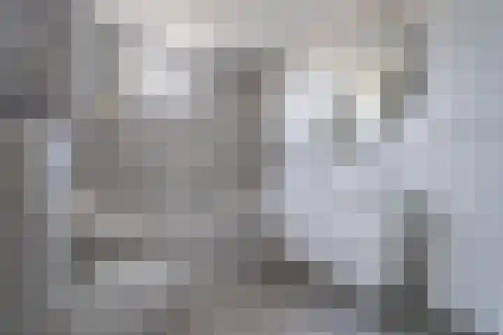 Nijlstraat 24 Spijkenisse thumbnail 5