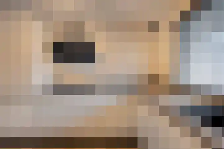 Nijlstraat 26 Spijkenisse thumbnail 11