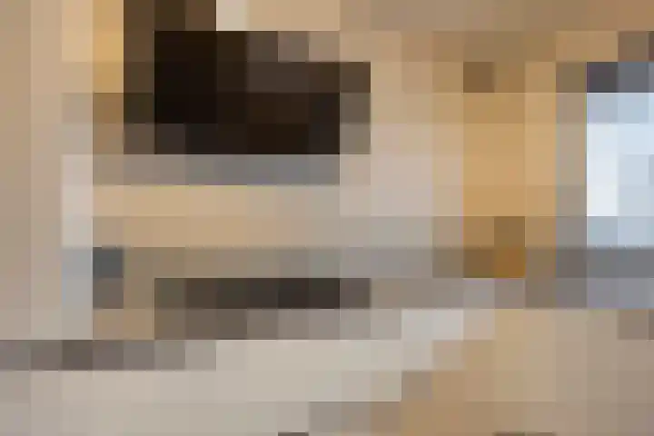 Nijlstraat 26 Spijkenisse thumbnail 12