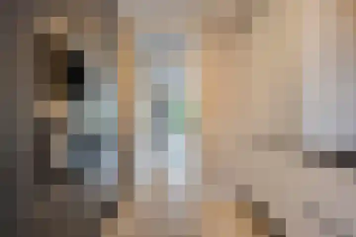 Nijlstraat 26 Spijkenisse thumbnail 14