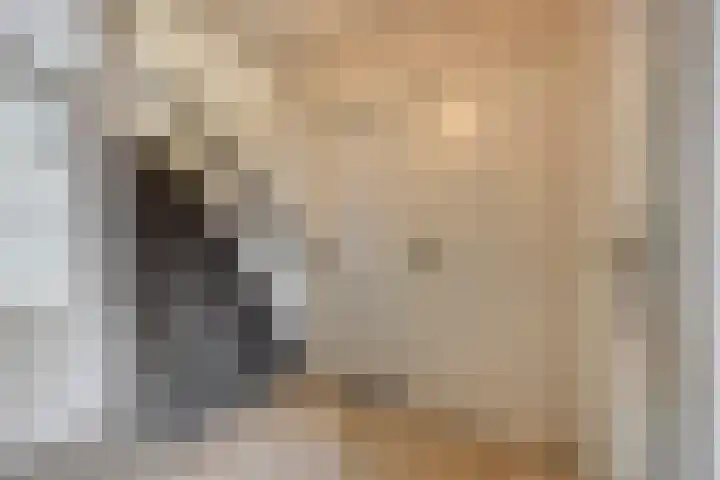 Nijlstraat 26 Spijkenisse thumbnail 16