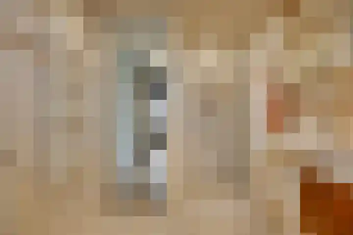 Nijlstraat 26 Spijkenisse thumbnail 21