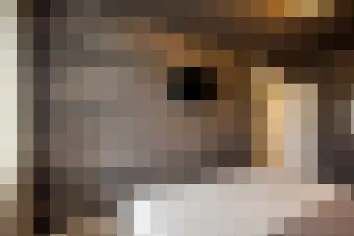 Nijlstraat 26 Spijkenisse thumbnail 26