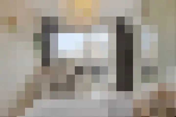 Nijlstraat 26 Spijkenisse thumbnail 29