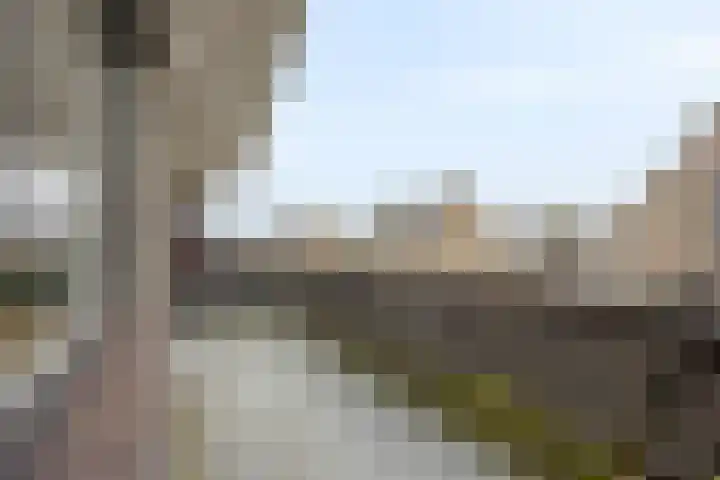 Nijlstraat 26 Spijkenisse thumbnail 30