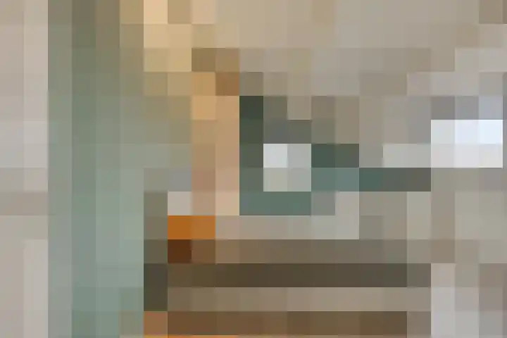 Nijlstraat 26 Spijkenisse thumbnail 32