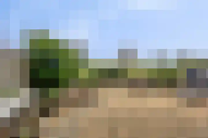 Nijlstraat 26 Spijkenisse thumbnail 38