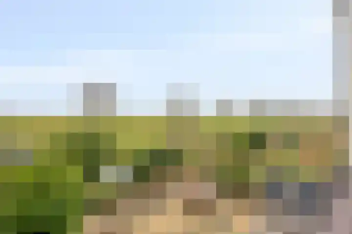 Nijlstraat 26 Spijkenisse thumbnail 40