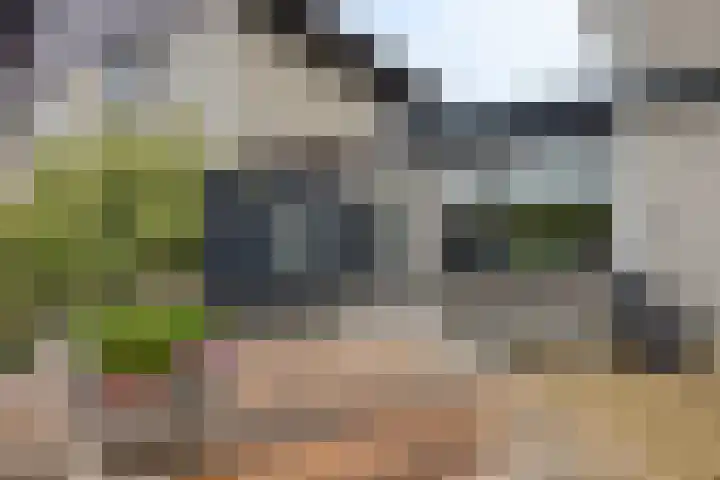 Nijlstraat 26 Spijkenisse thumbnail 42