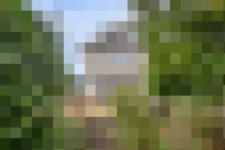 Nijlstraat 26 Spijkenisse thumbnail 43