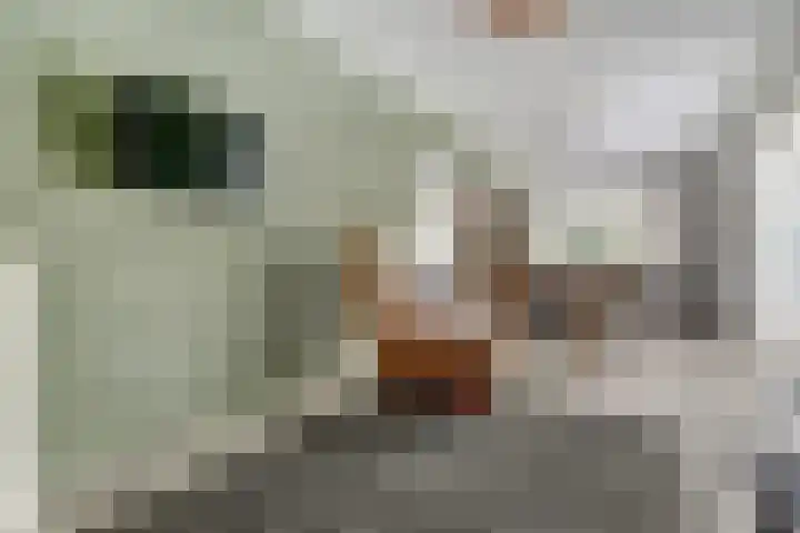 Nijlstraat 30 Spijkenisse thumbnail 11