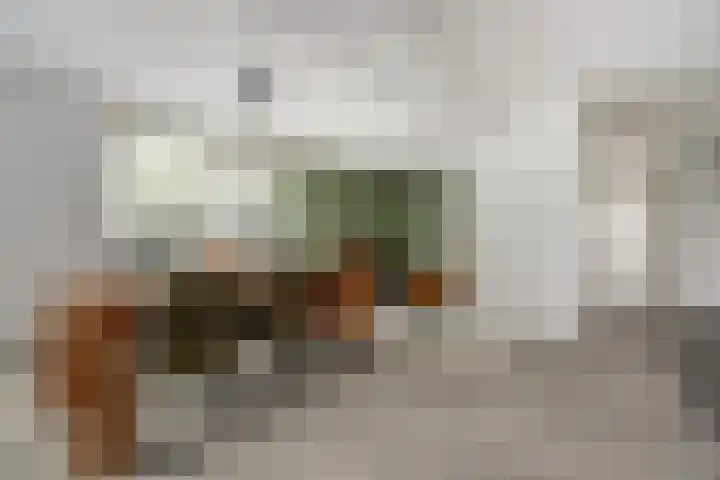 Nijlstraat 30 Spijkenisse thumbnail 12