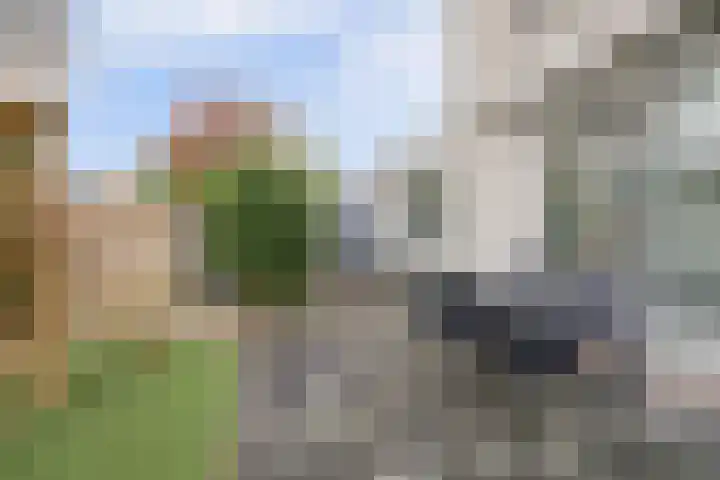 Nijlstraat 30 Spijkenisse thumbnail 15