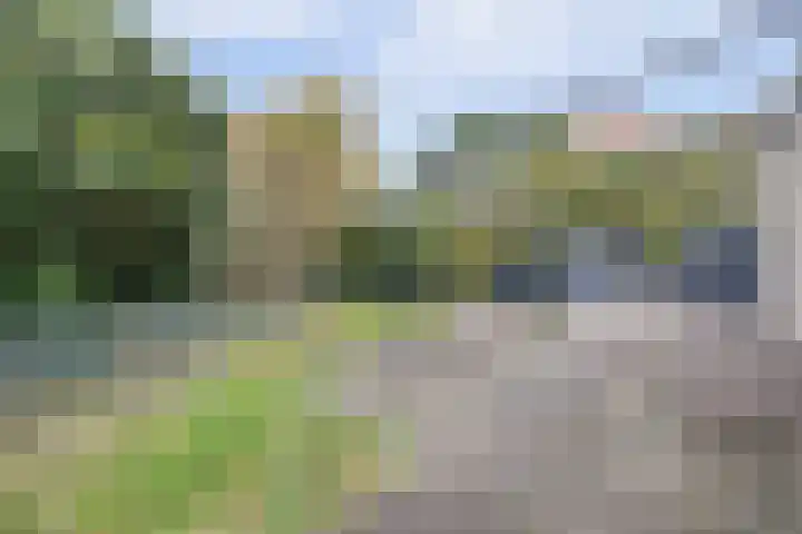 Nijlstraat 30 Spijkenisse thumbnail 17