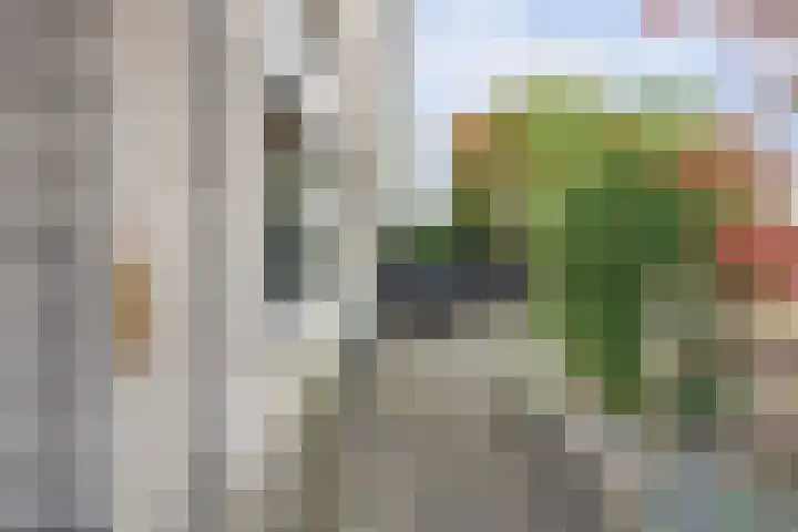 Nijlstraat 30 Spijkenisse thumbnail 19
