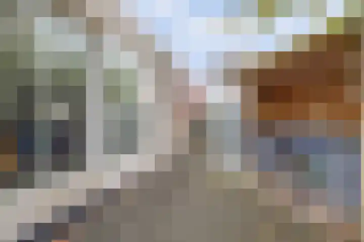 Nijlstraat 30 Spijkenisse thumbnail 20