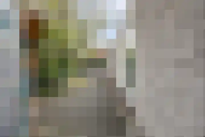 Nijlstraat 30 Spijkenisse thumbnail 21