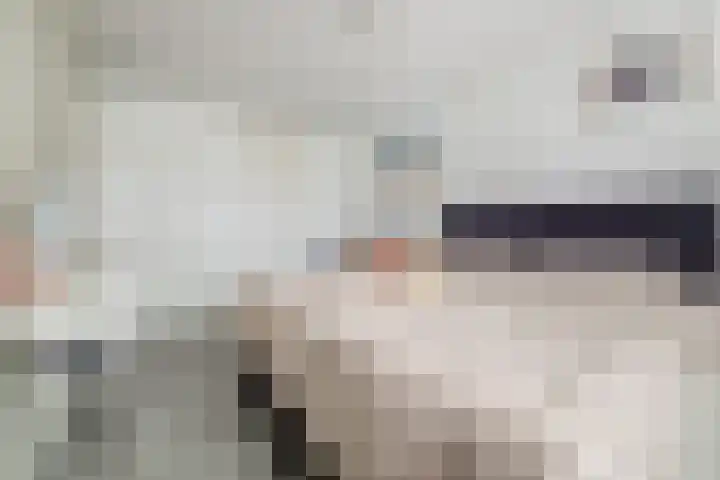 Nijlstraat 30 Spijkenisse thumbnail 32