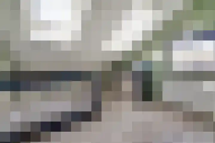 Nijlstraat 30 Spijkenisse thumbnail 33