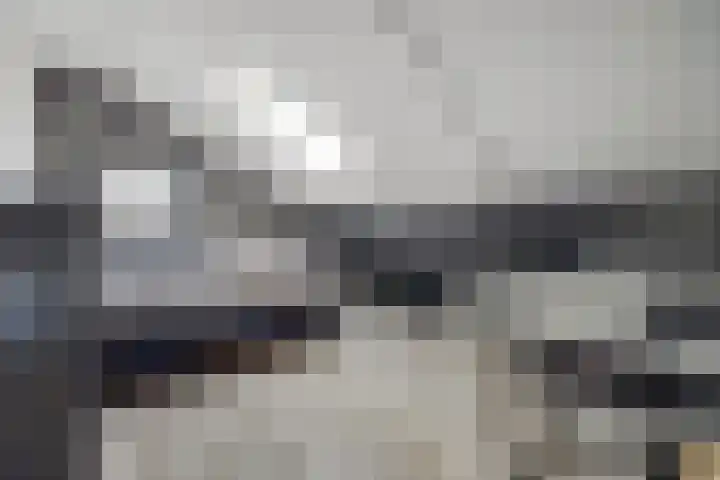 Nijlstraat 30 Spijkenisse thumbnail 35