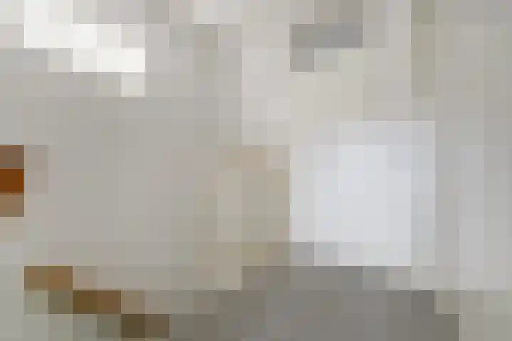 Nijlstraat 30 Spijkenisse thumbnail 37