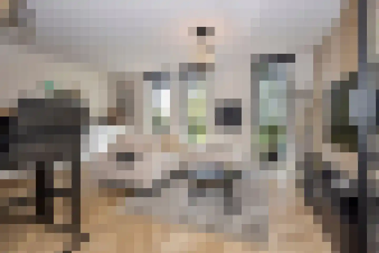 Nijlstraat 34 H Purmerend thumbnail 17