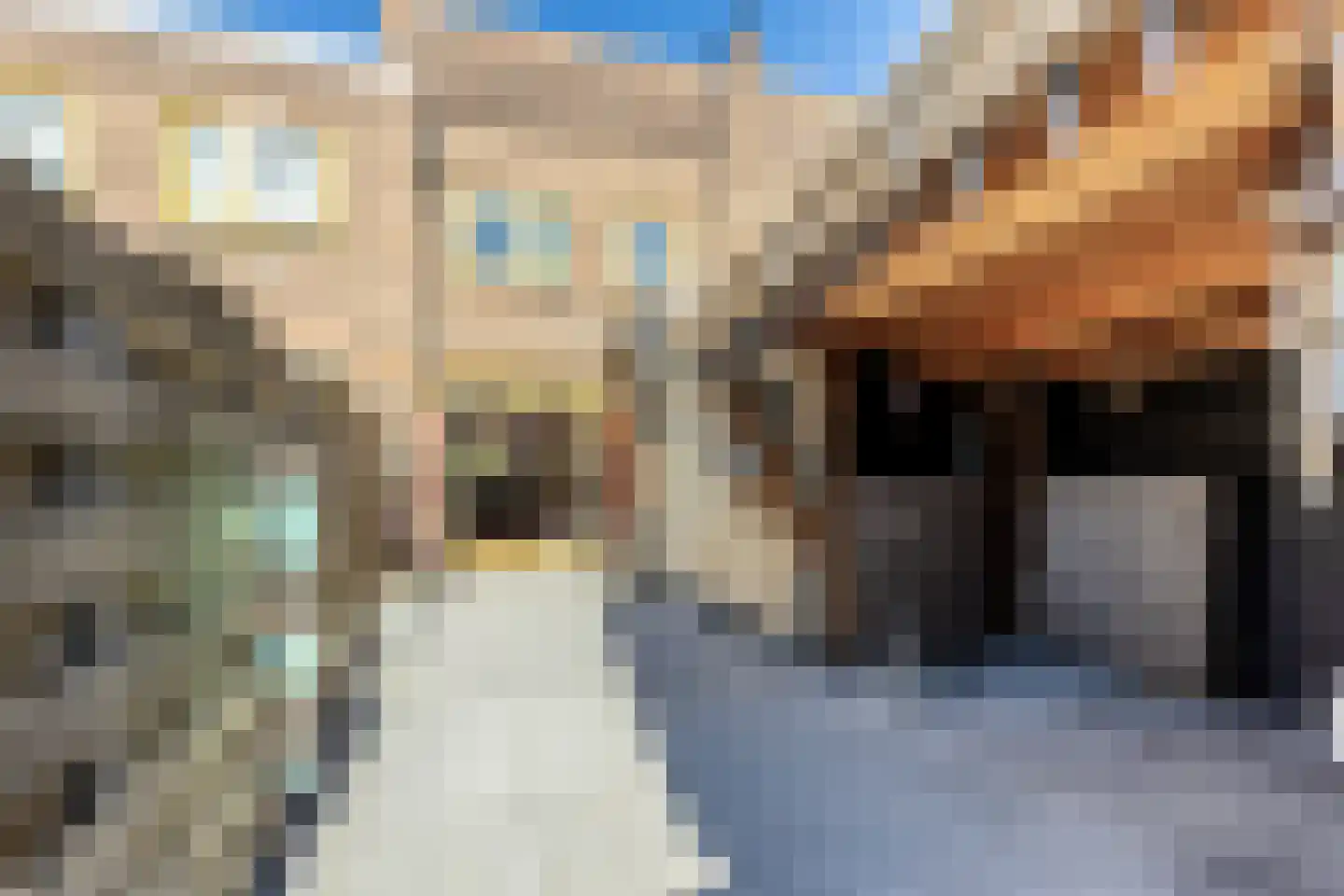 Nijlstraat 34 Haarlem thumbnail 15