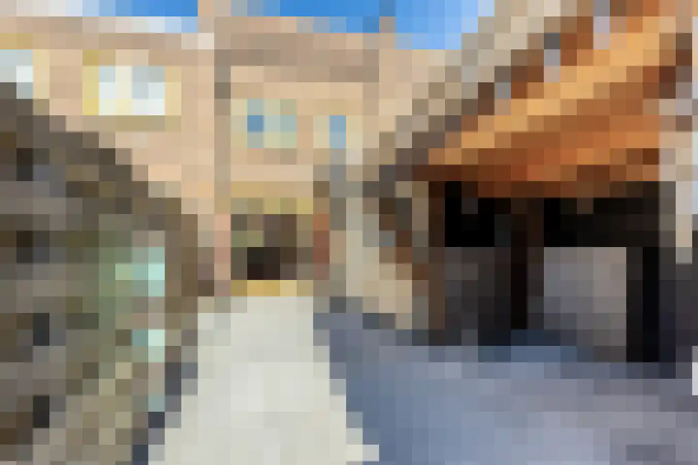 Nijlstraat 34 Haarlem thumbnail 5