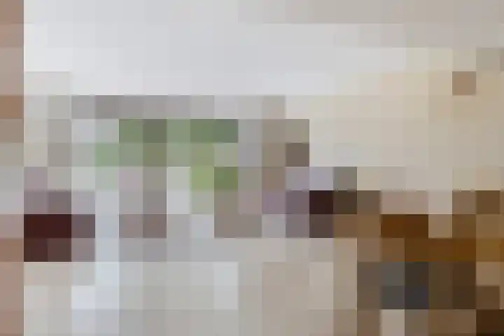 Nijlstraat 4 Spijkenisse thumbnail 11