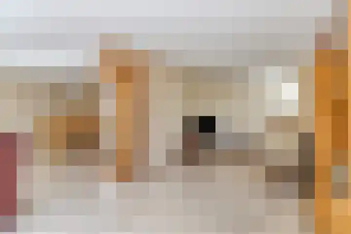 Nijlstraat 4 Spijkenisse thumbnail 15