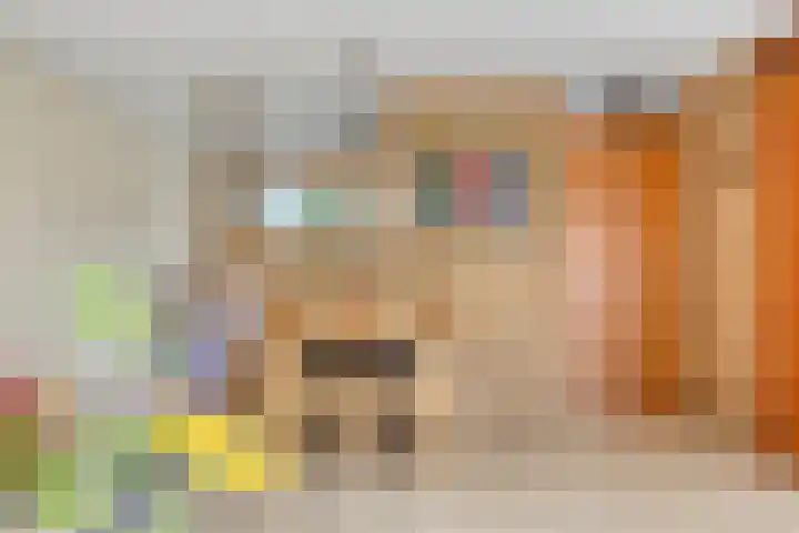Nijlstraat 4 Spijkenisse thumbnail 20