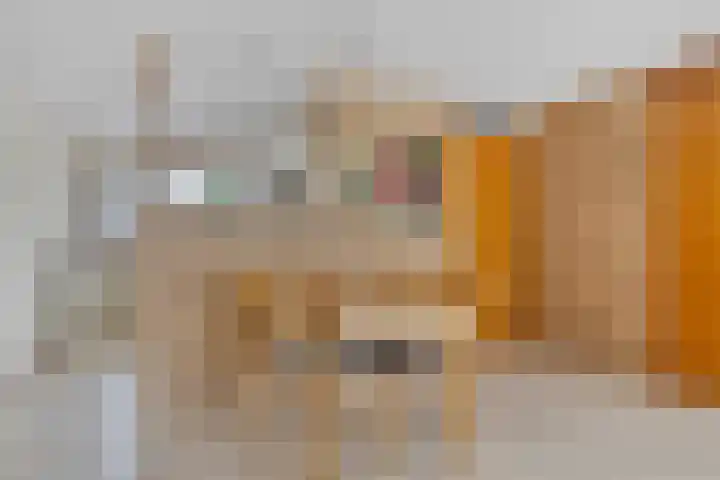 Nijlstraat 4 Spijkenisse thumbnail 21