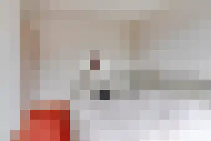 Nijlstraat 4 Spijkenisse thumbnail 30