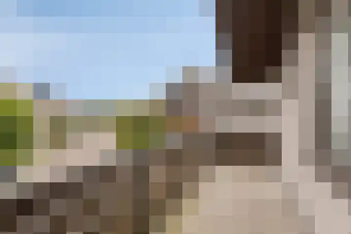 Nijlstraat 4 Spijkenisse thumbnail 31